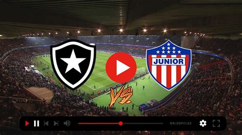Botafogo x Junior Barranquilla: onde assistir ao vivo, .